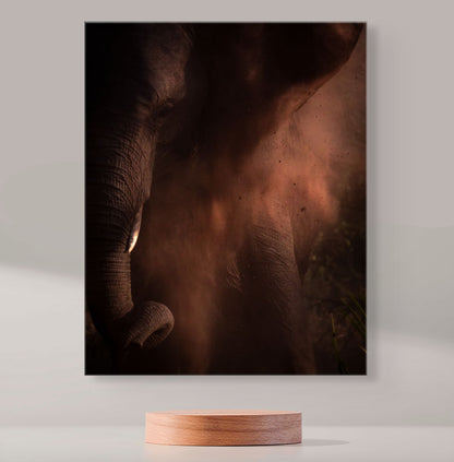 From Earth - Byron Grobler Wildlife Prints - Elephant