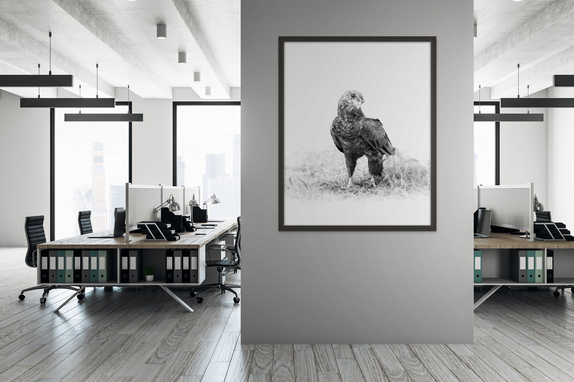 Eagle - Byron Grobler Wildlife Prints - Grounded