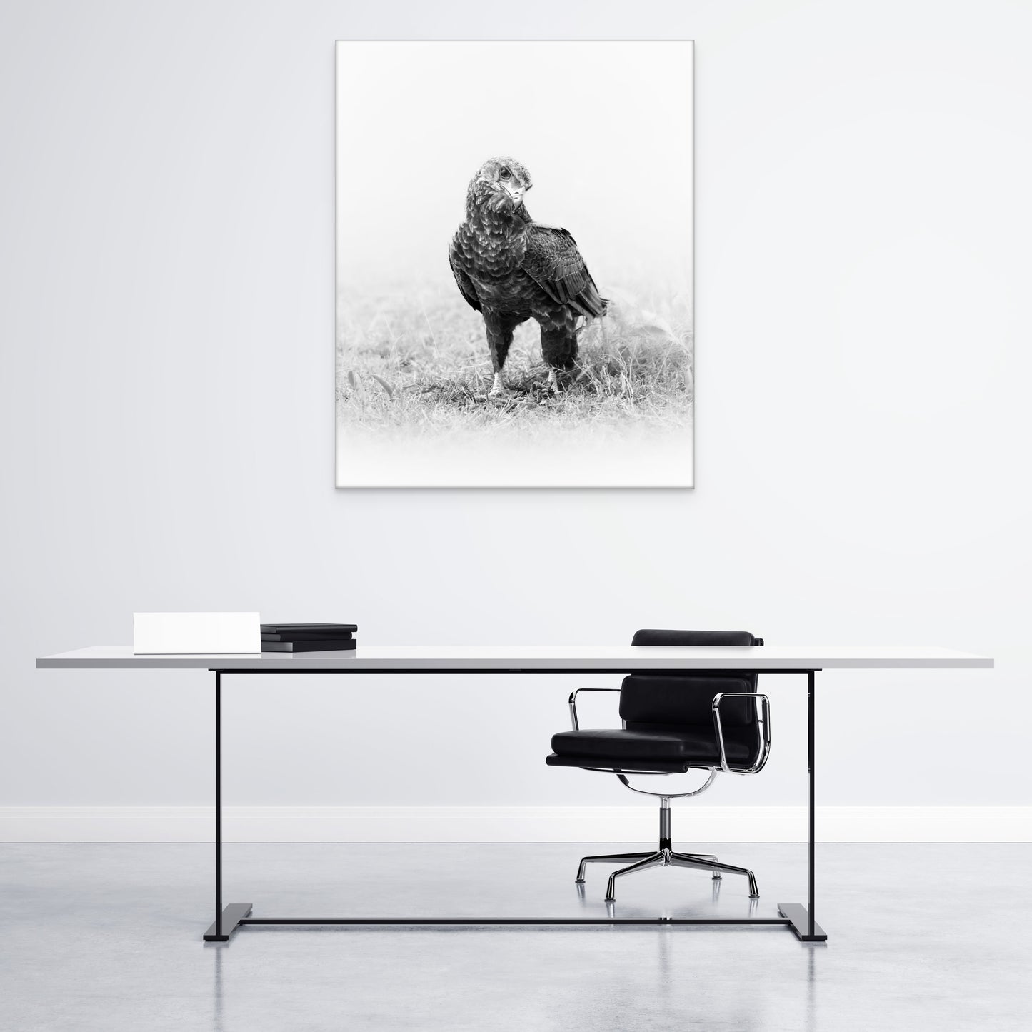 Eagle - Byron Grobler Wildlife Prints - Grounded