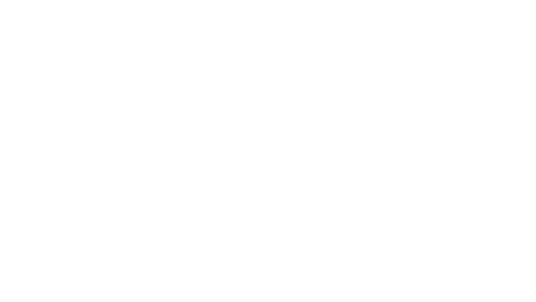 WildWild Journeys