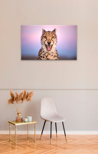 A Fast Smile - Byron Grobler Wildlife Prints - Cheetah