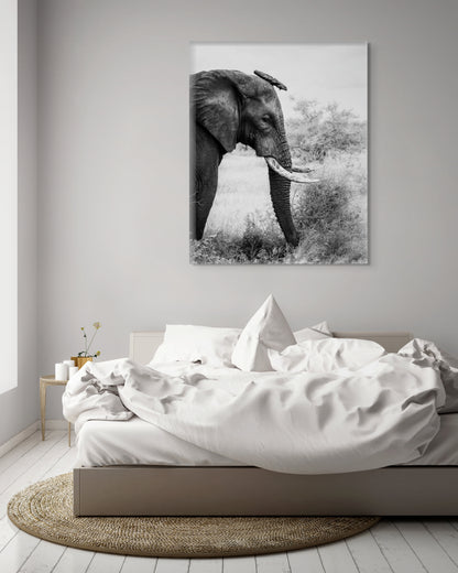 A Balancing Act - Byron Grobler Wildlife Prints - Elephant