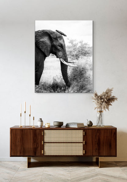 A Balancing Act - Byron Grobler Wildlife Prints - Elephant