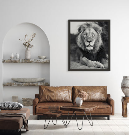 A Fallen King - Byron Grobler Wildlife Prints - Lion