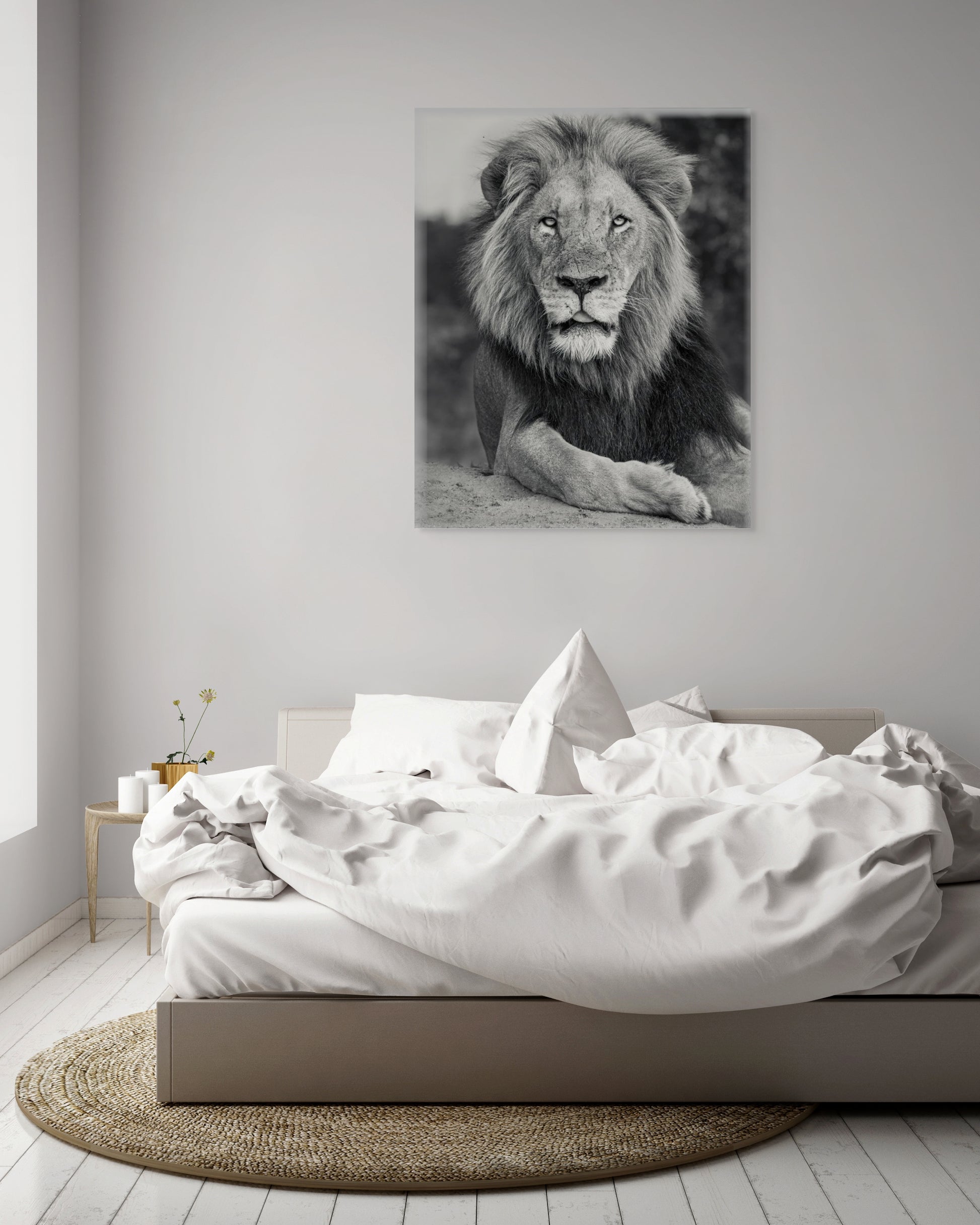 A Fallen King - Byron Grobler Wildlife Prints - Lion