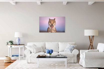 A Fast Smile - Byron Grobler Wildlife Prints - Cheetah