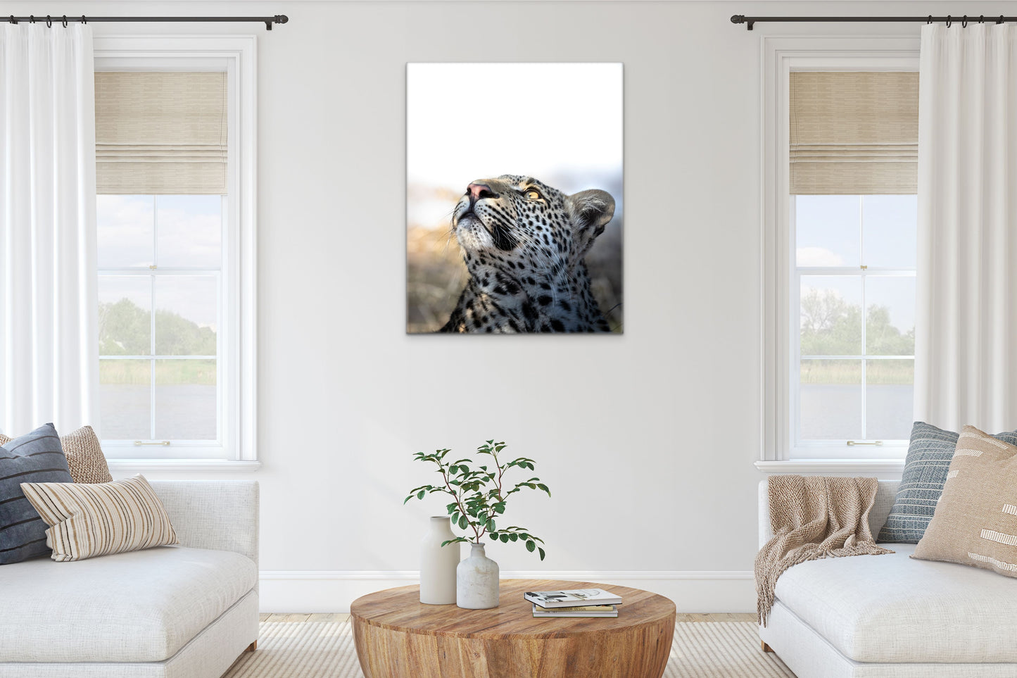 Son of Moya - Byron Grobler Wildlife Prints - Leopard