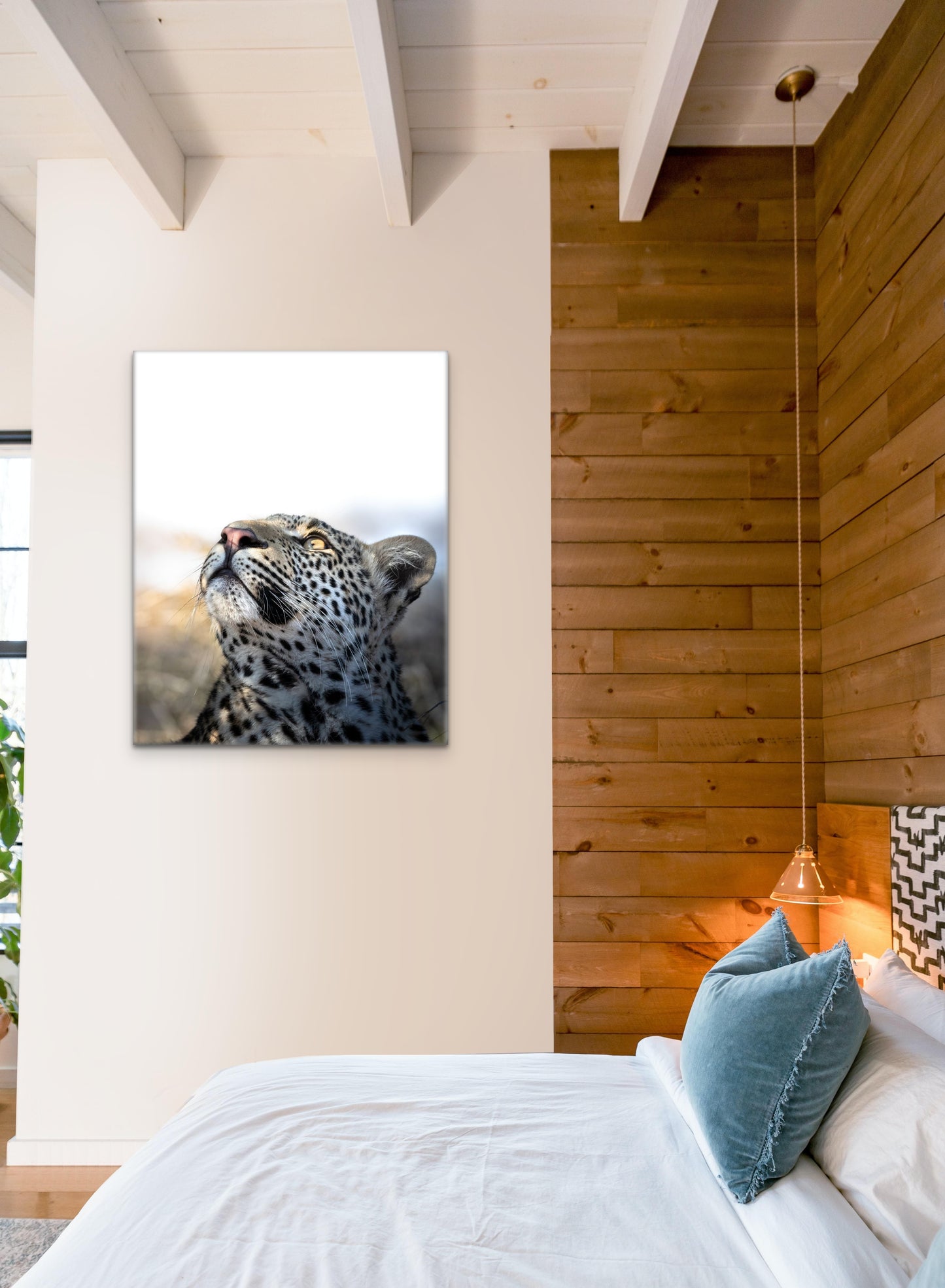 Son of Moya - Byron Grobler Wildlife Prints - Leopard